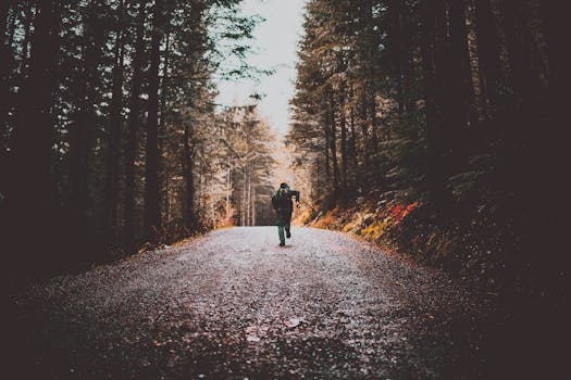 A lone traveler runs down a scenic forest dirt road, surrounded by tall trees.